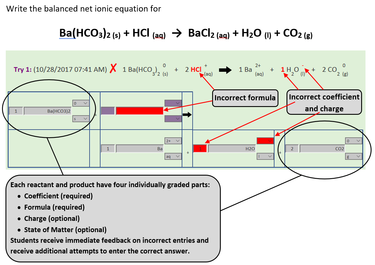 Screenshot of the first Try of a Balanced Net Ionic Equation problem.