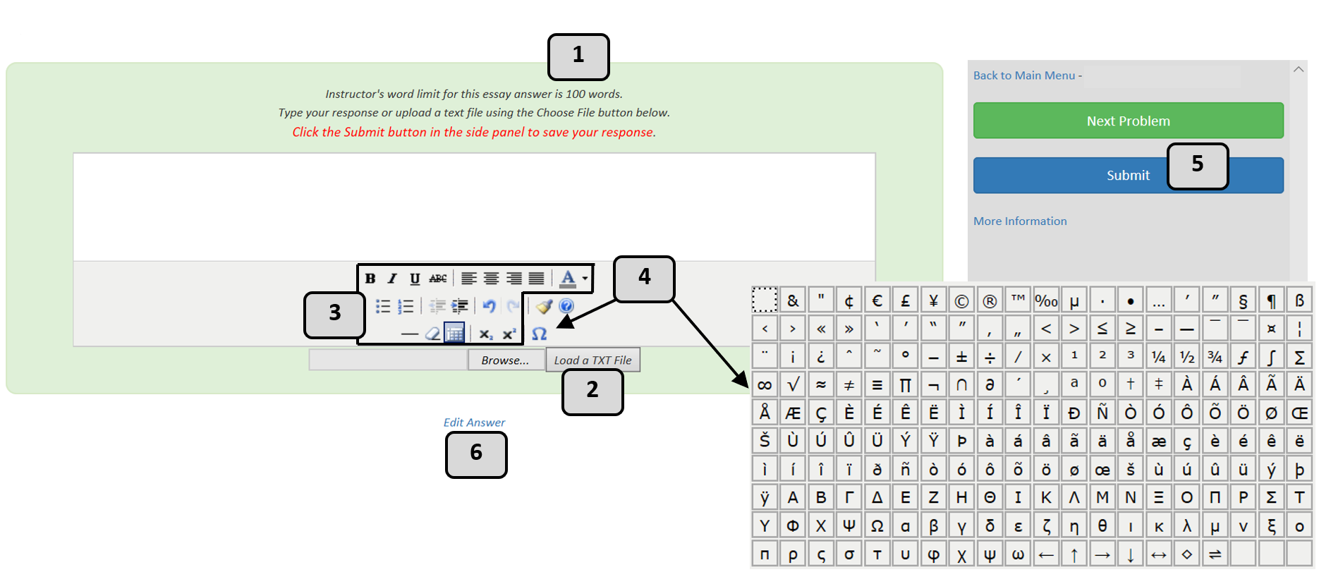 The HTML editor used to compose essay answers.